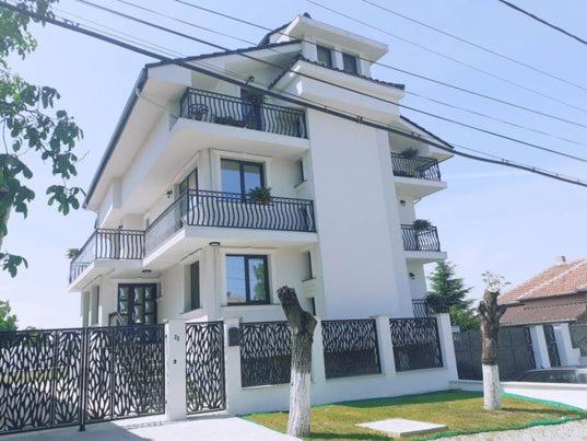 拜勒乌努麦Casa Leahu住宿加早餐旅馆 外观 照片